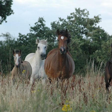 Petit Gite A La Ferme Villa Rosnay Kültér fotó