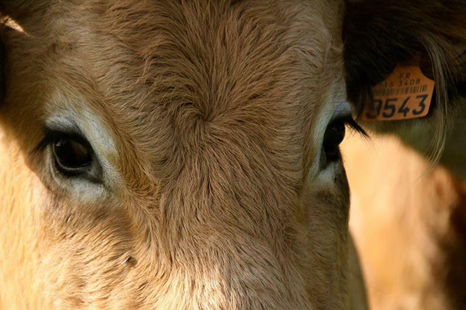 Petit Gite A La Ferme Villa Rosnay Kültér fotó