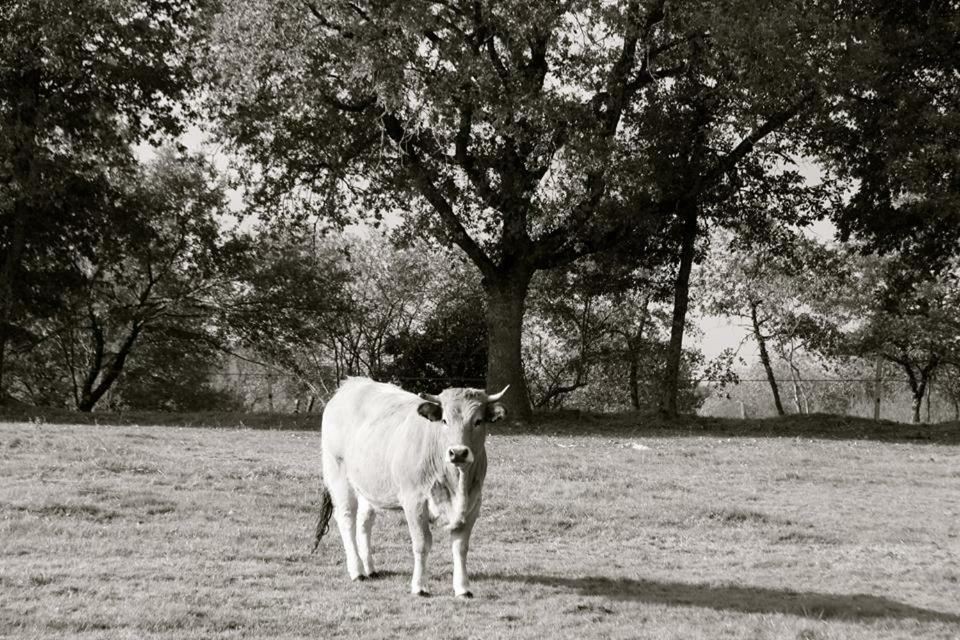 Petit Gite A La Ferme Villa Rosnay Kültér fotó