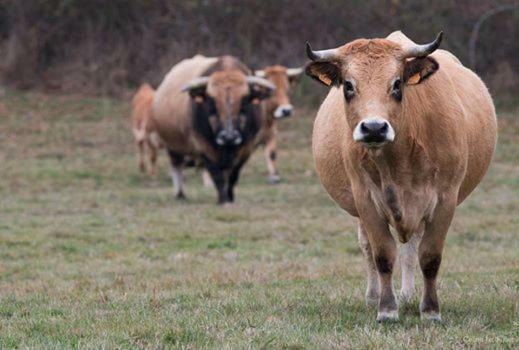 Petit Gite A La Ferme Villa Rosnay Kültér fotó